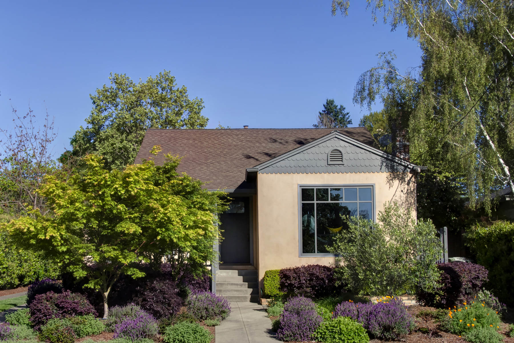 30 - _MG_9218adjust EDIT