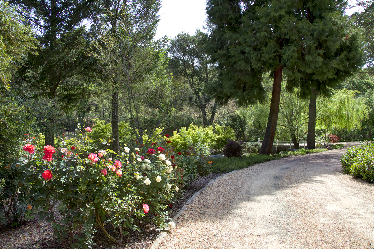 30 - _MG_9710adjust - 315FranzValleySchoolRd