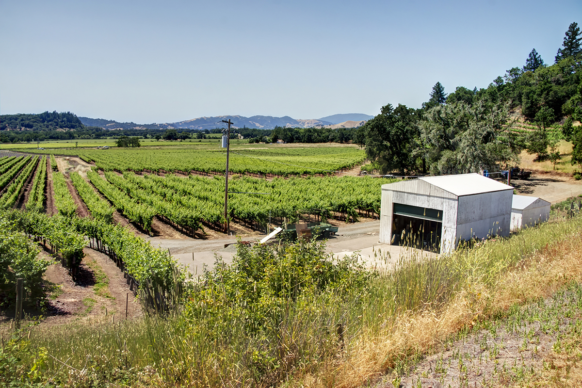 30 - _MG_9994adjust - KnightsValleyRanch