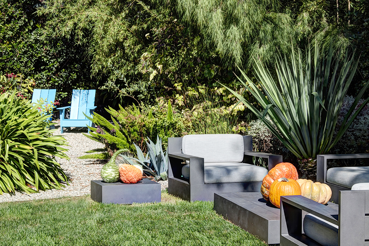 33 _MG_2159adjust - 1512StocktonStreet