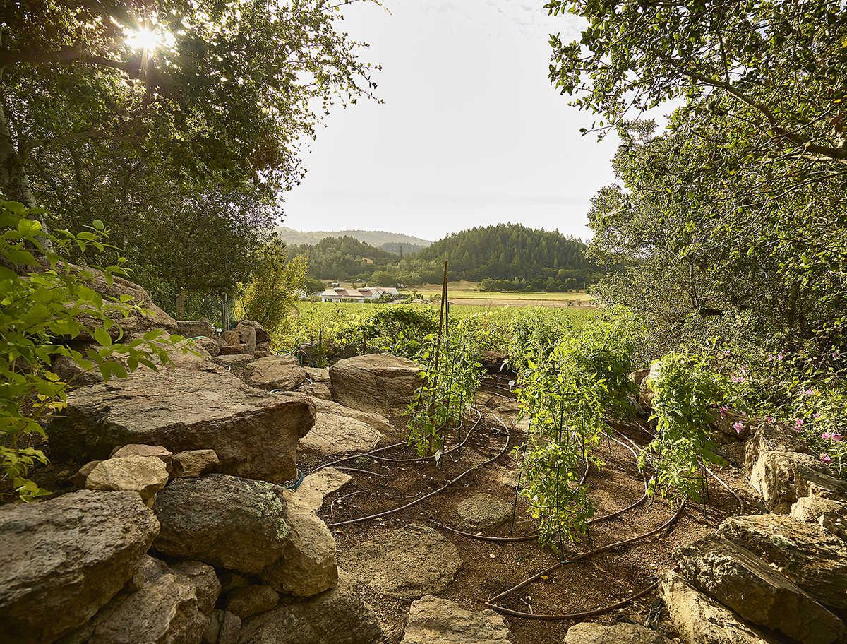 34 - Nichols_55 - 3800SilveradoTrail