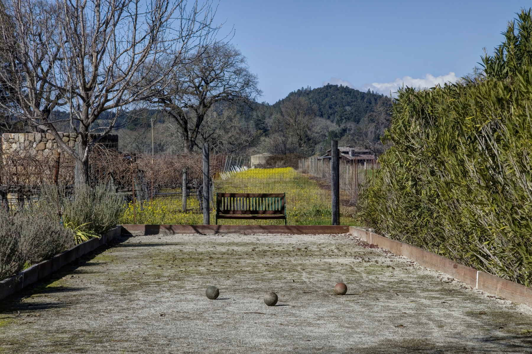 37 - _MG_0213adjust - SummersWinery