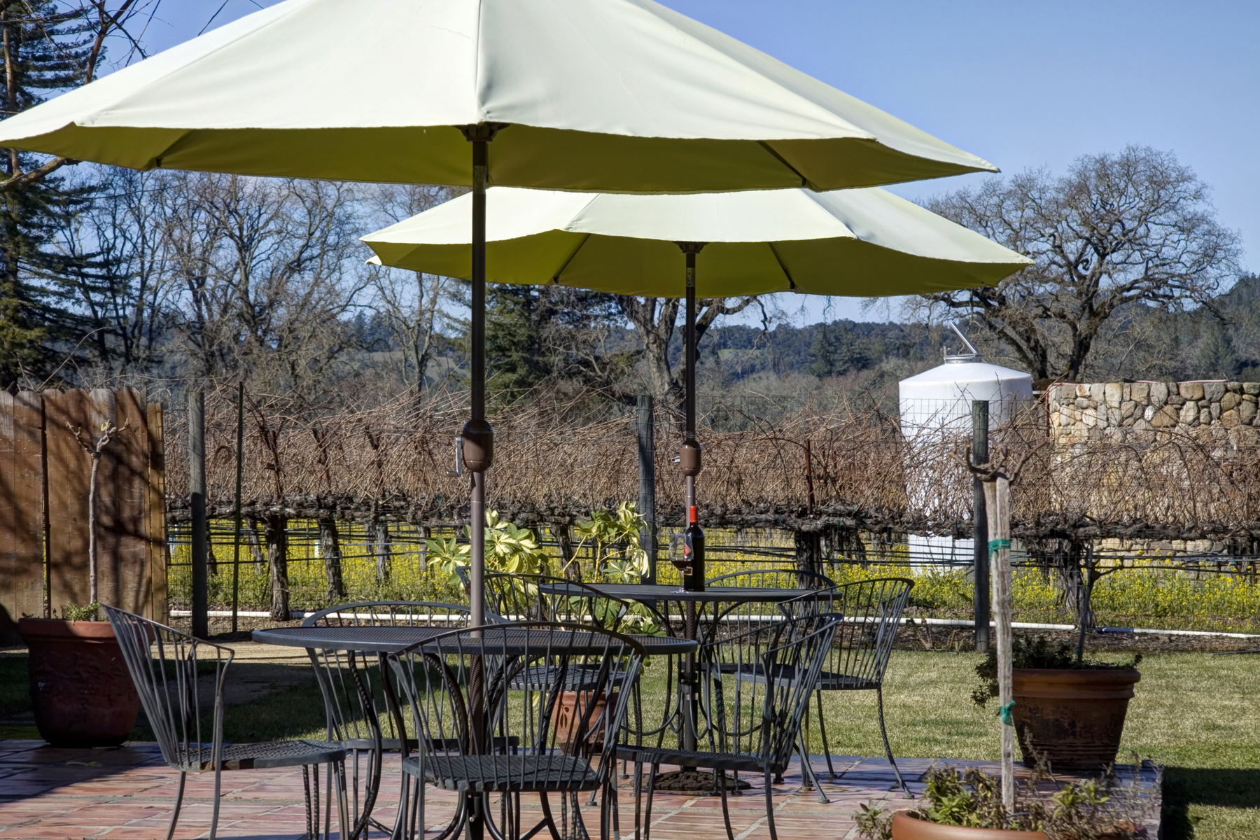 40 - _MG_0210adjust - SummersWinery