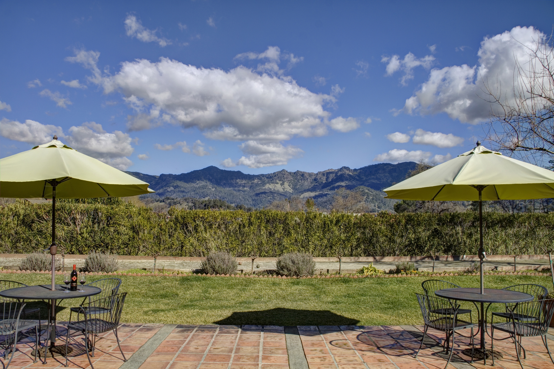 42 - _MG_0200adjust - SummersWinery