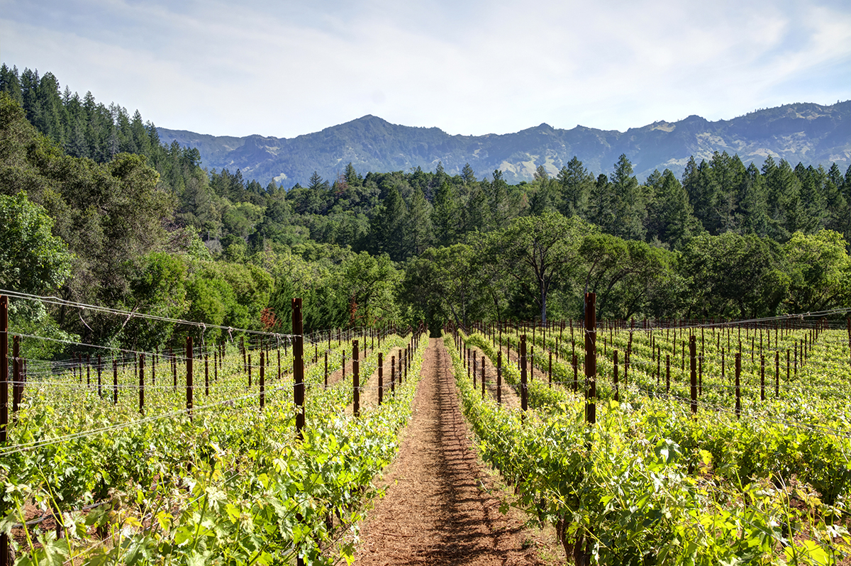 42 - _MG_9625adjust - 315FranzValleySchoolRd