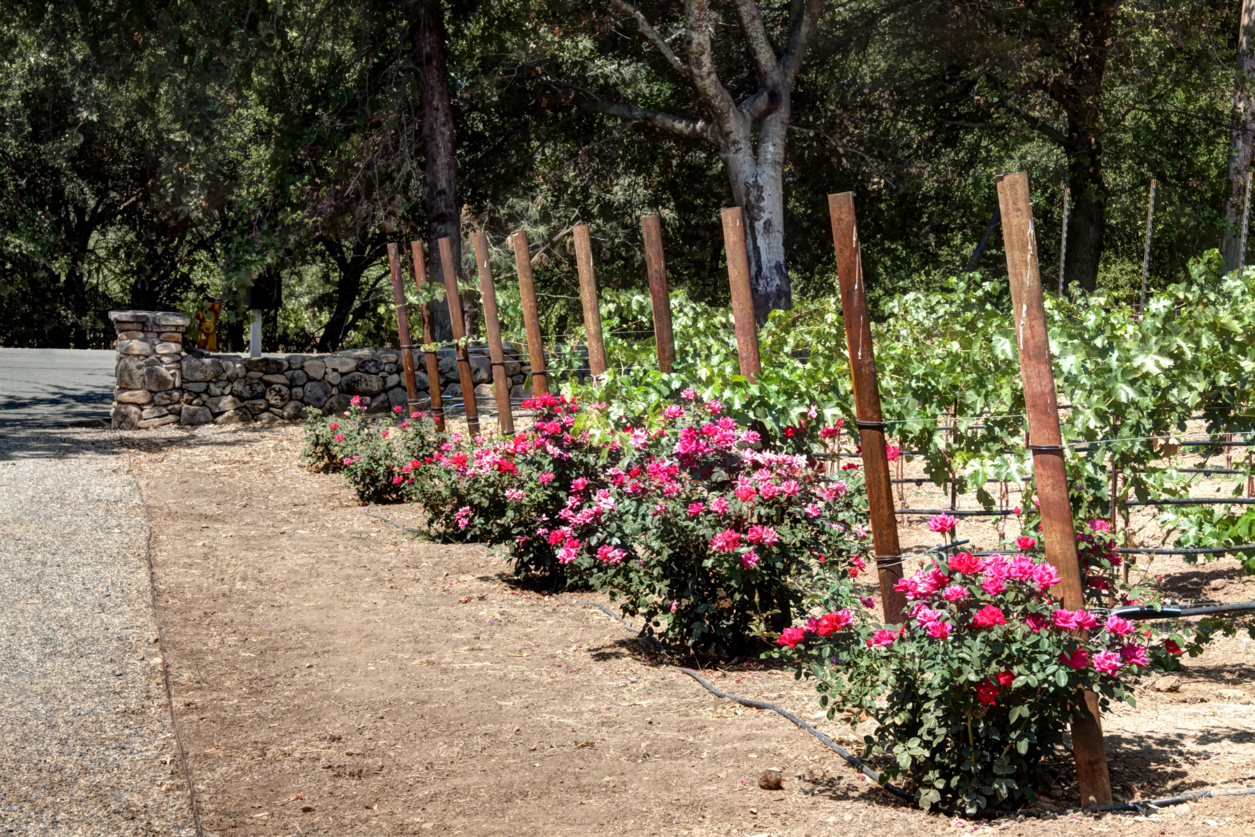 43 _MG_0847adjust - 200FawnParkRoad