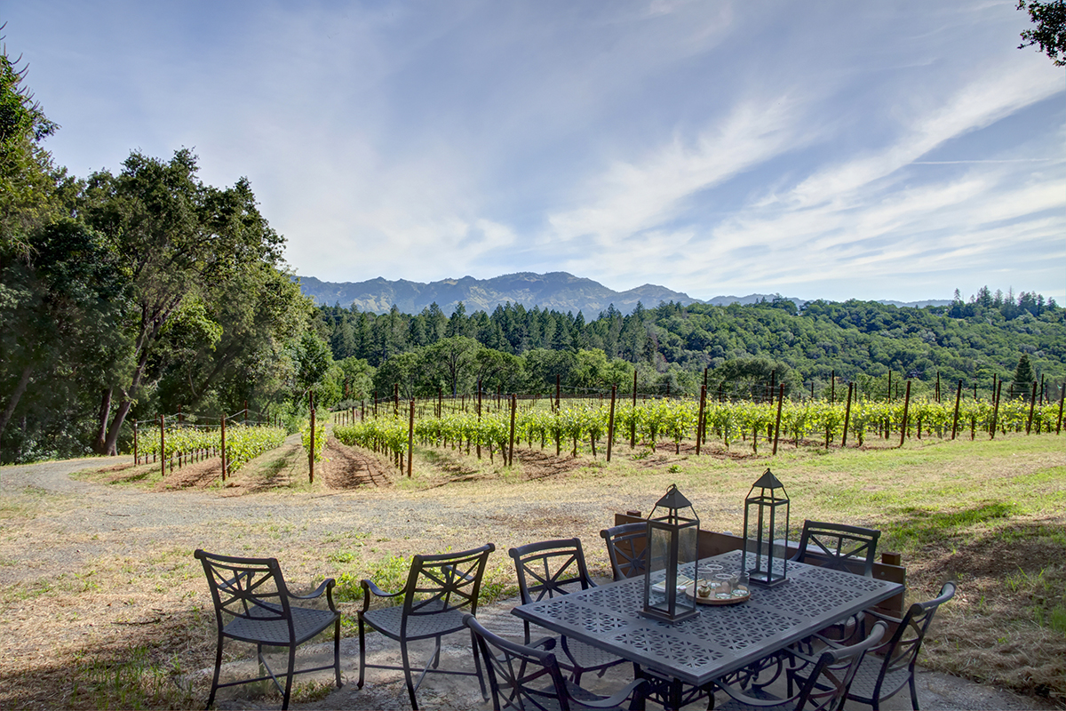 43 - _MG_9615adjust - 315FranzValleySchoolRd