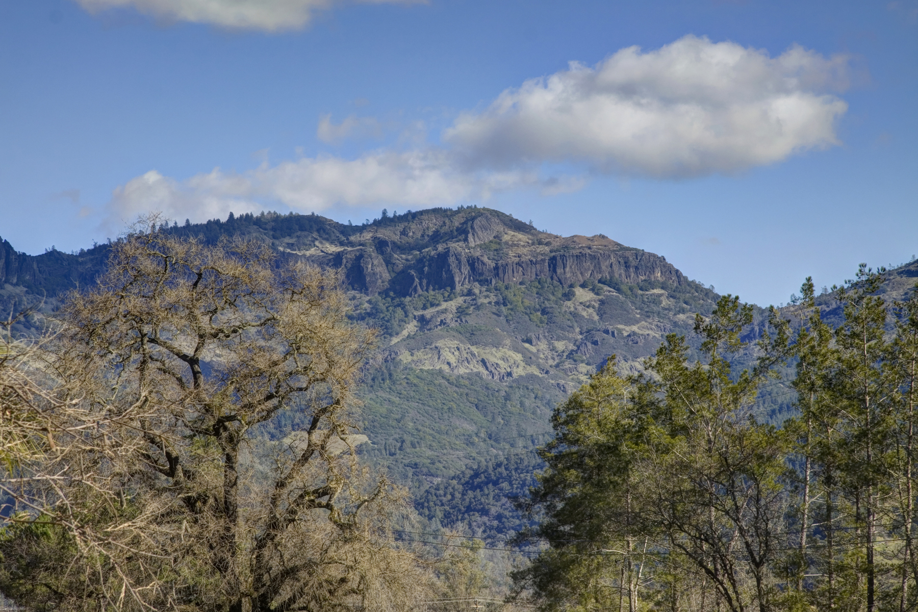 44 - _MG_0197adjust - SummersWinery