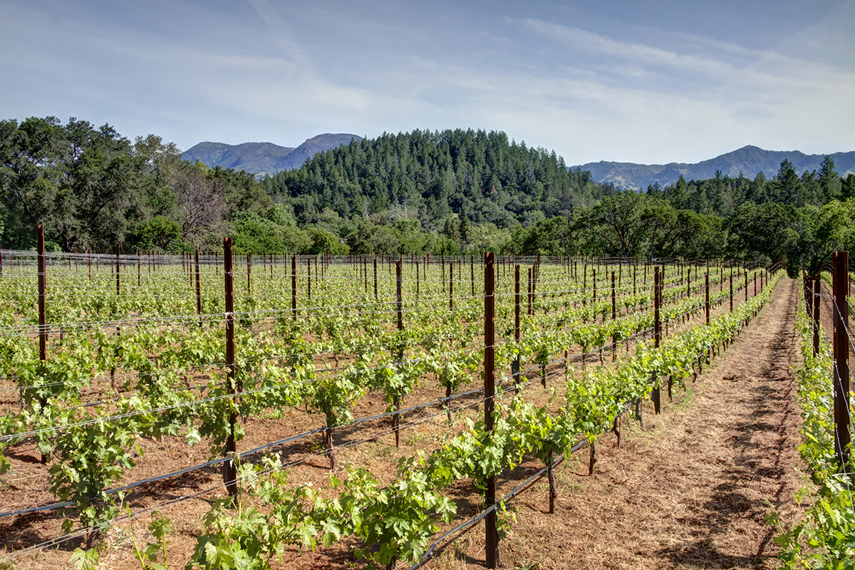 44 - _MG_9640adjust - 315FranzValleySchoolRd