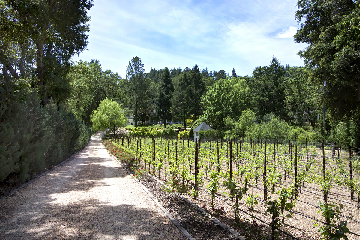 45 - _MG_9773adjust - 315FranzValleySchoolRd