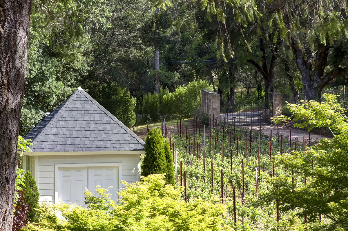 46 - _MG_9726adjust - 315FranzValleySchoolRd