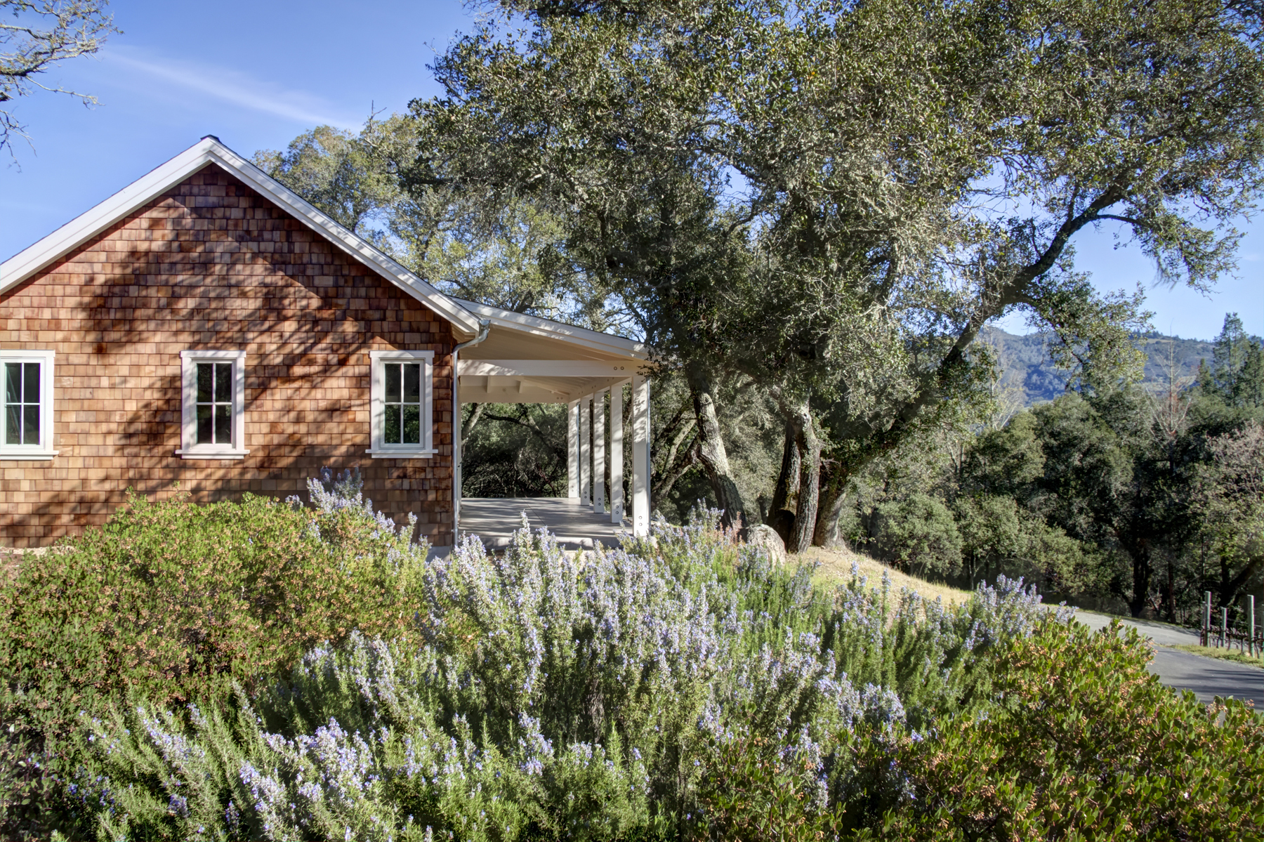 50 H3 _MG_8549adjust- 3417StHelenaHwy