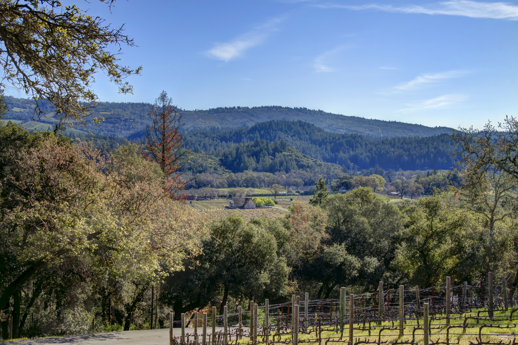52 H5 _MG_8584adjust- 3417StHelenaHwy