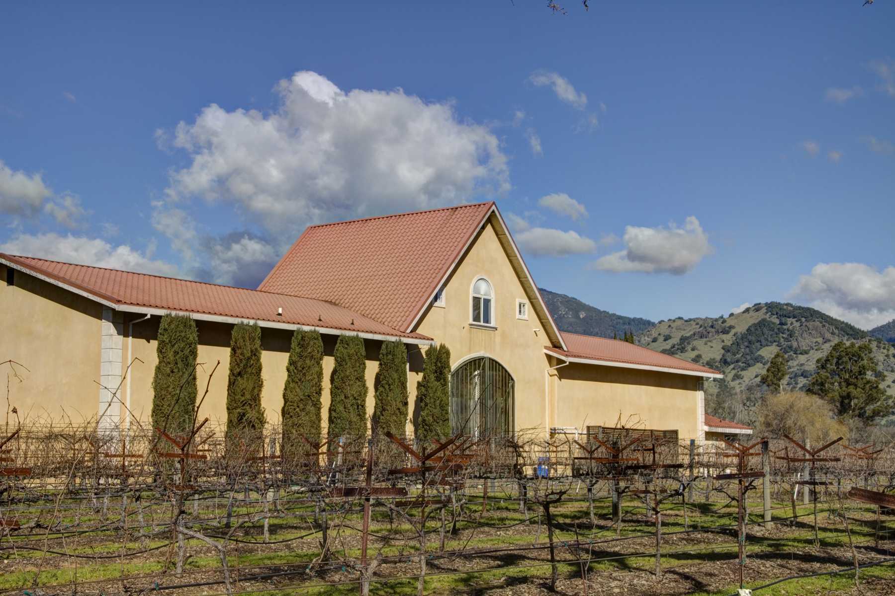 53 - _MG_0156adjust - SummersWinery