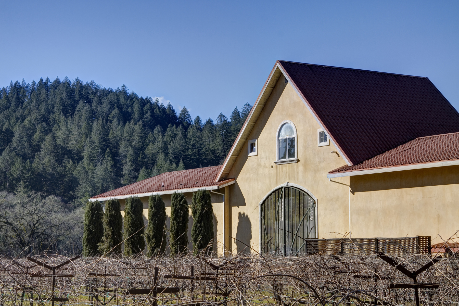 56 - _MG_0138adjust - SummersWinery