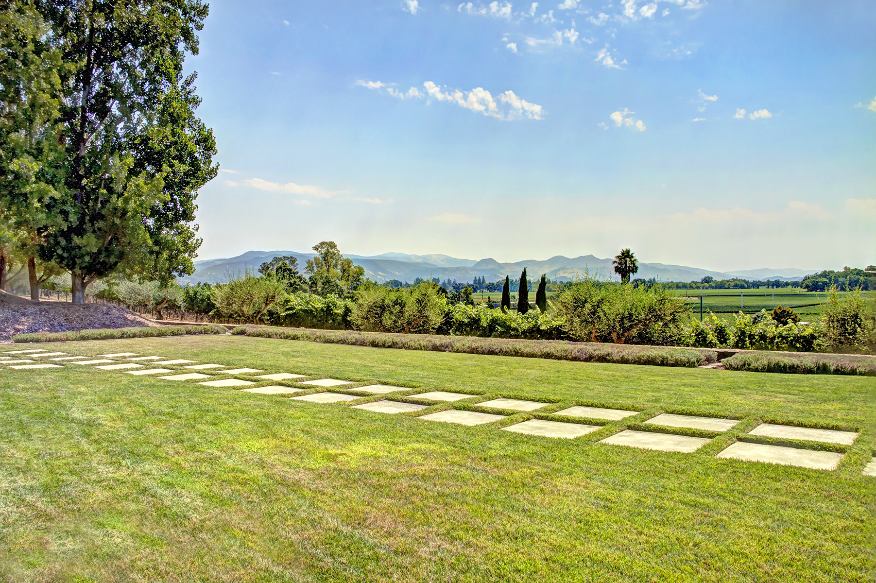 C09 - _MG_0584adjust_EDITED