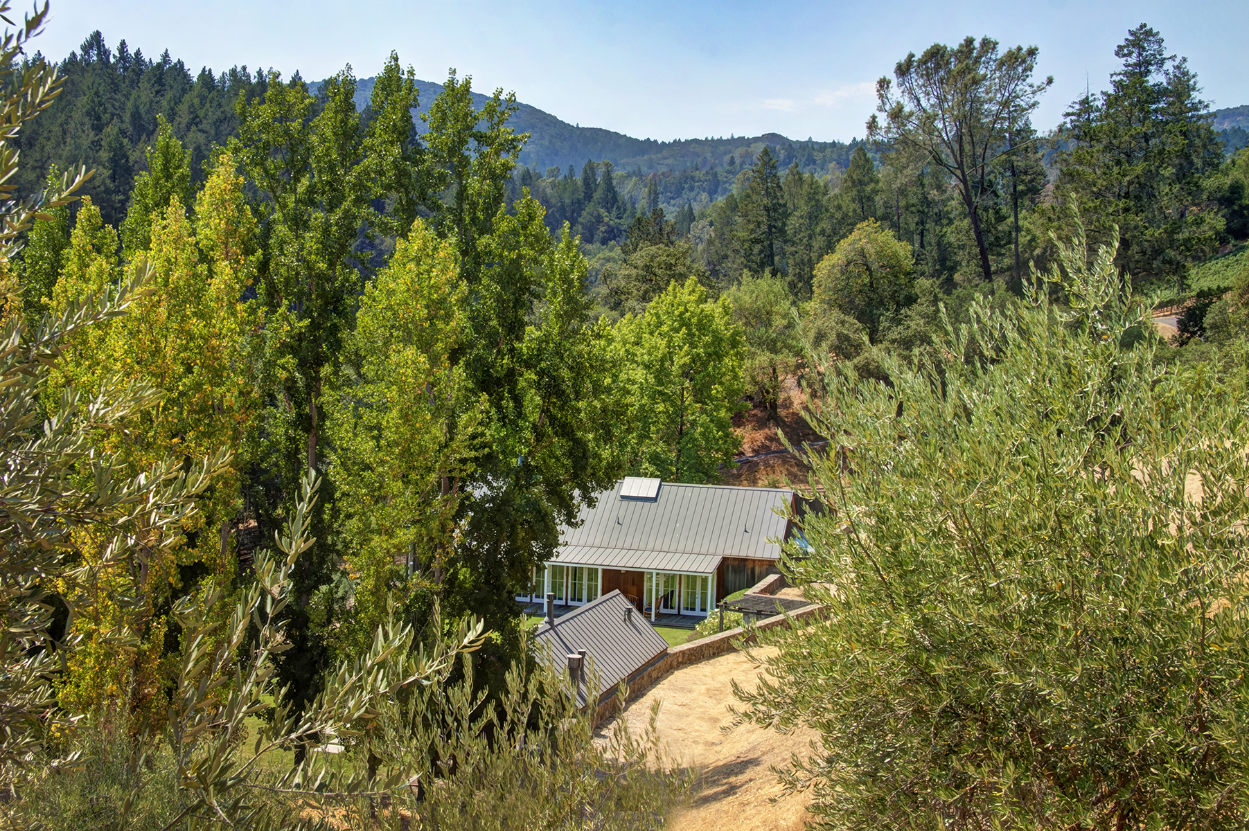 F03 - _MG_0664adjust_EDITED