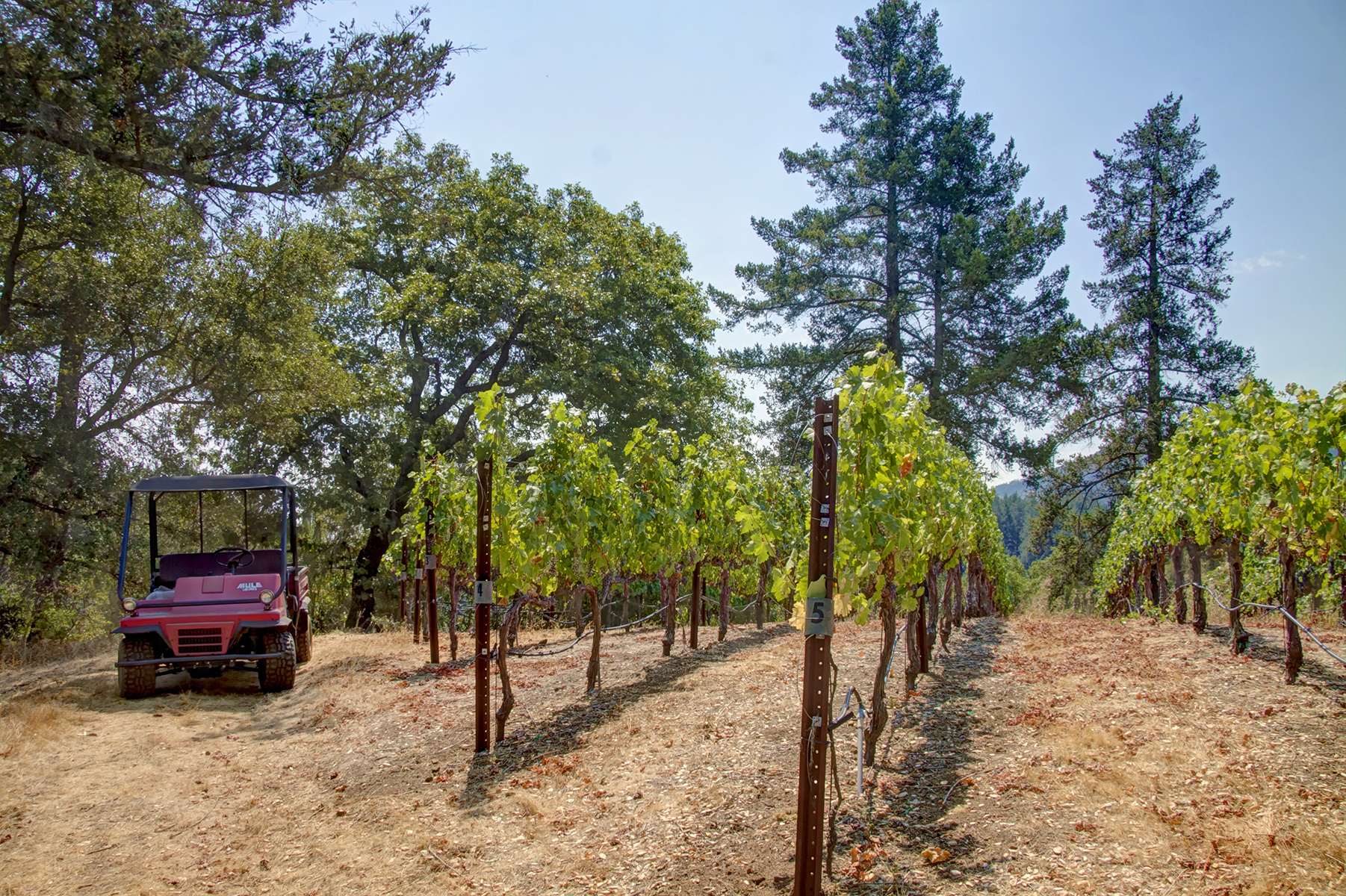 F04 - _MG_0639adjust_EDITED