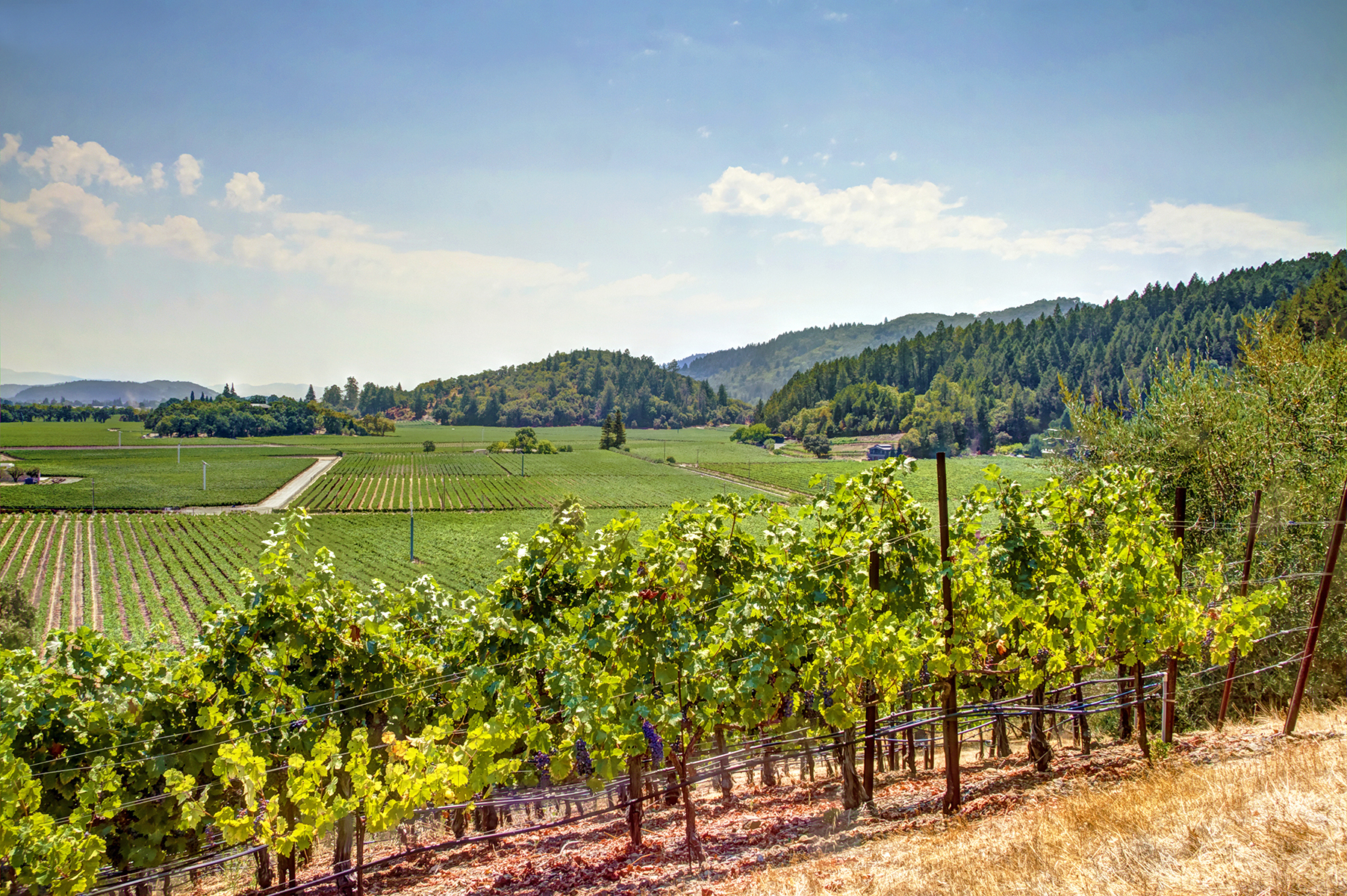 F05 - _MG_0659adjust_EDITED