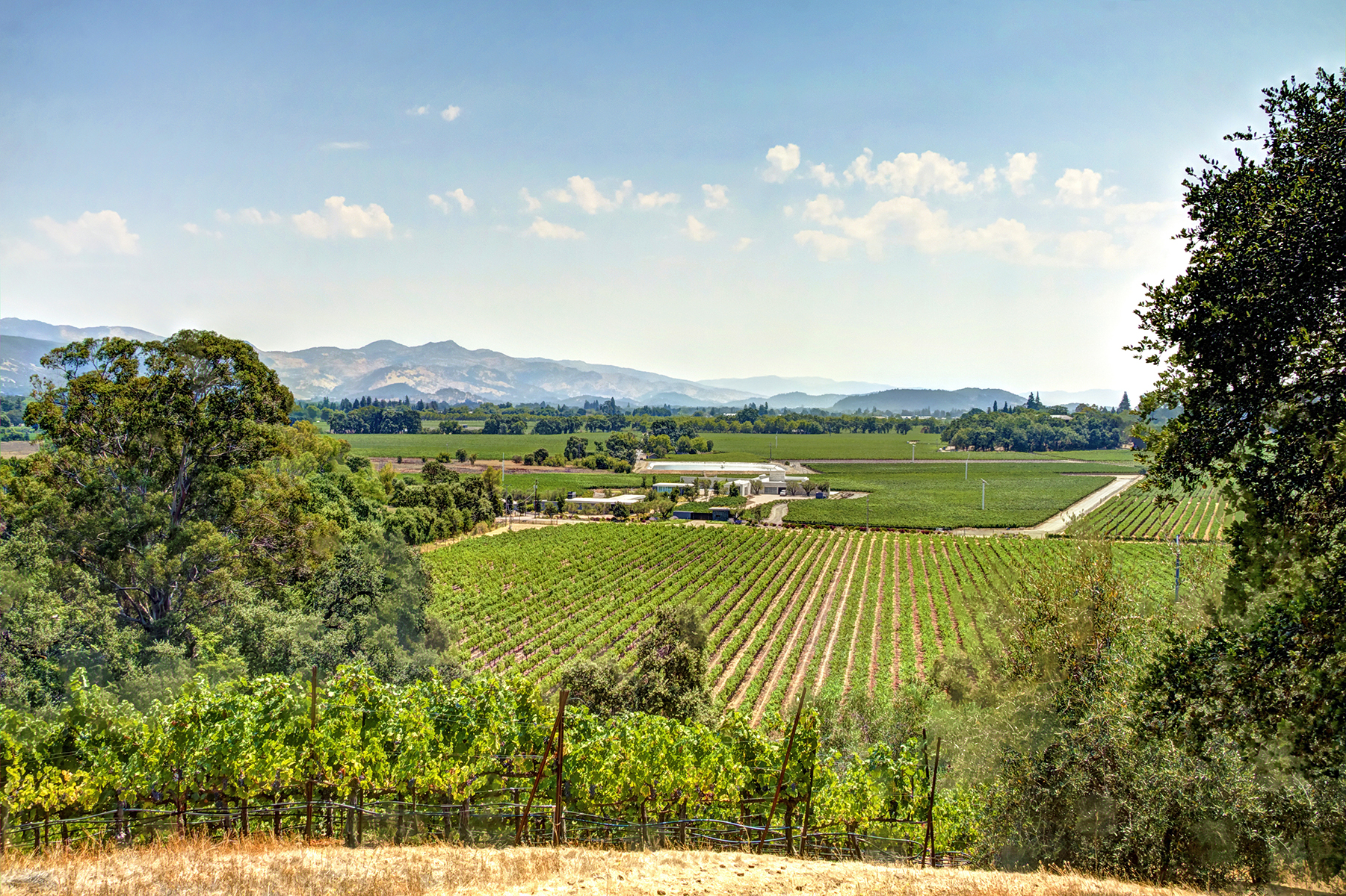 F06 - _MG_0654adjust_EDITED