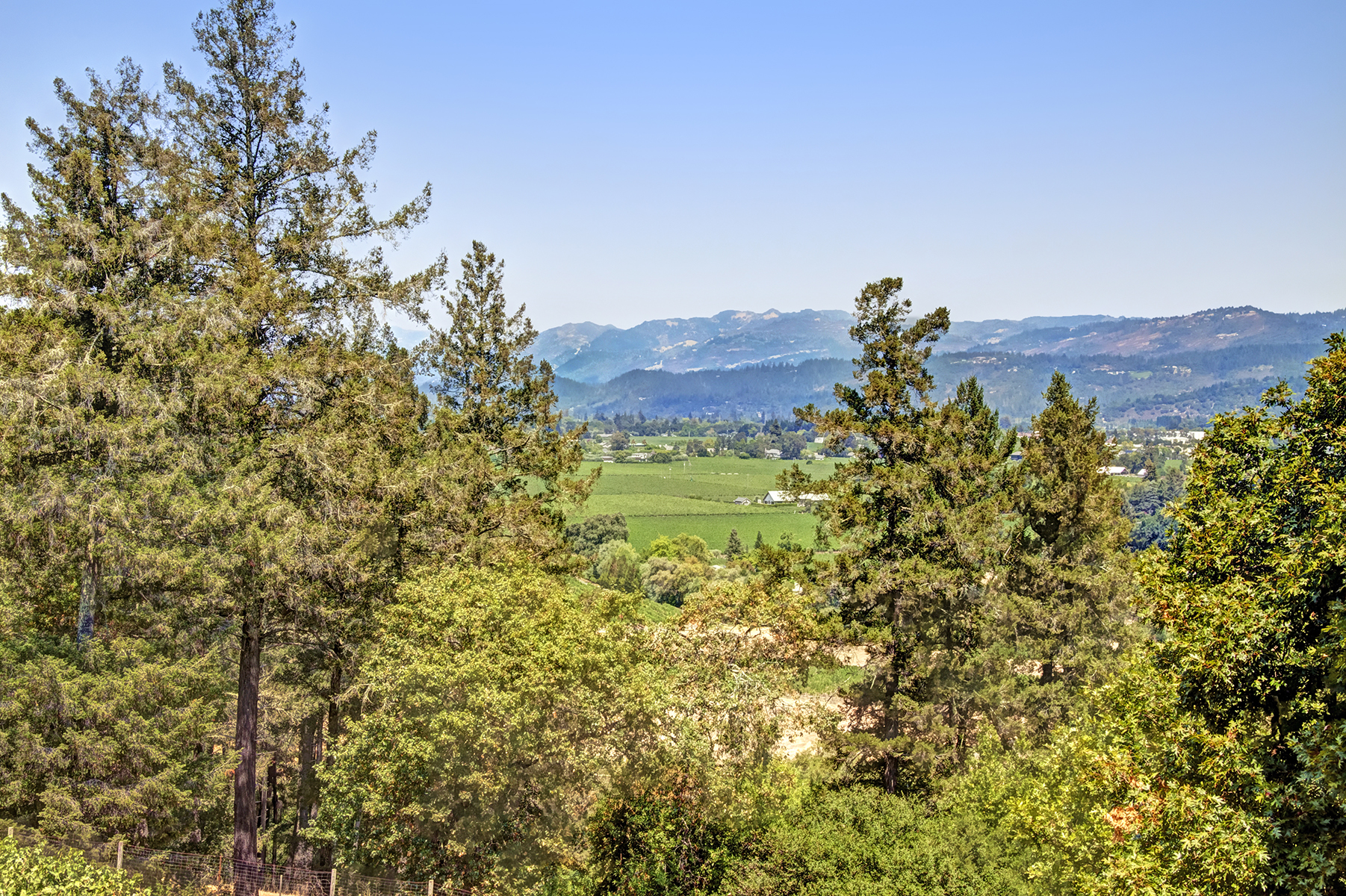 F08 - _MG_0644adjust_EDITED