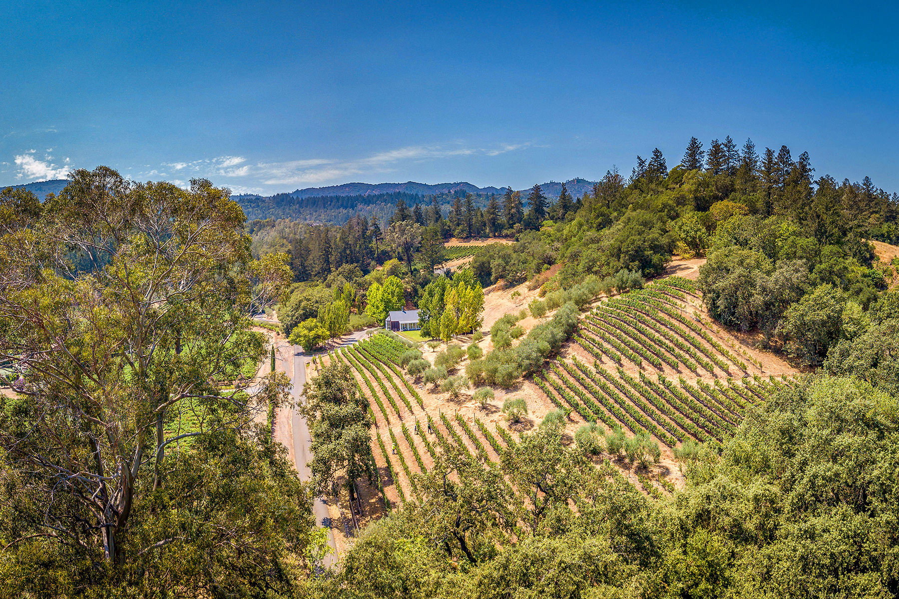 F15 - DJI_0123_PanoEDIT