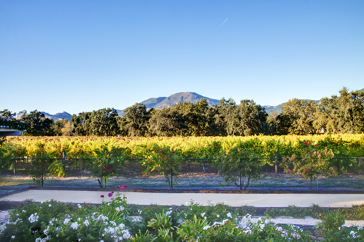 04 _MG_2567adjustEDIT - 1881 Mora