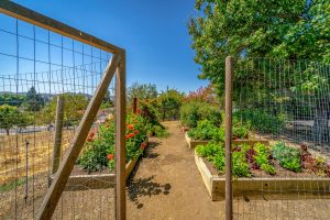38b - _DSC3528 - 3440 Linda Mesa Way