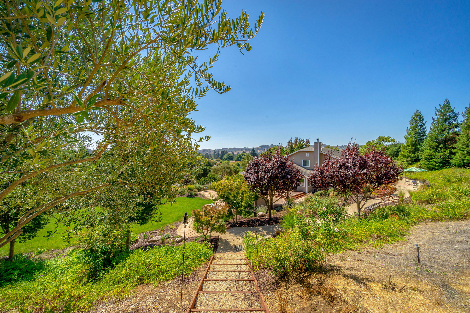 42 - _DSC3546 - 3440 Linda Mesa Way