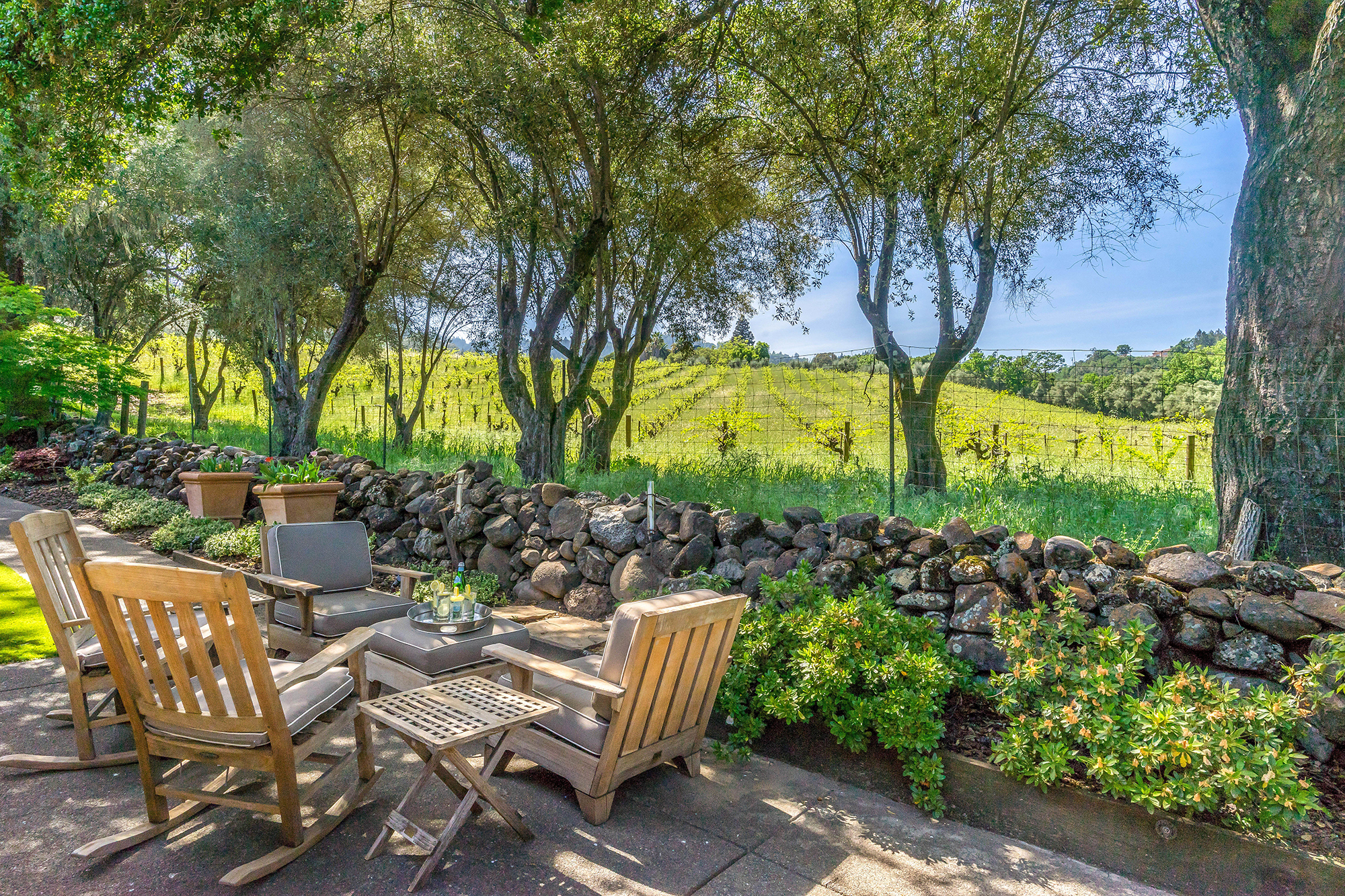 03 _DSC6275 - 2325 Spring Mountain Road