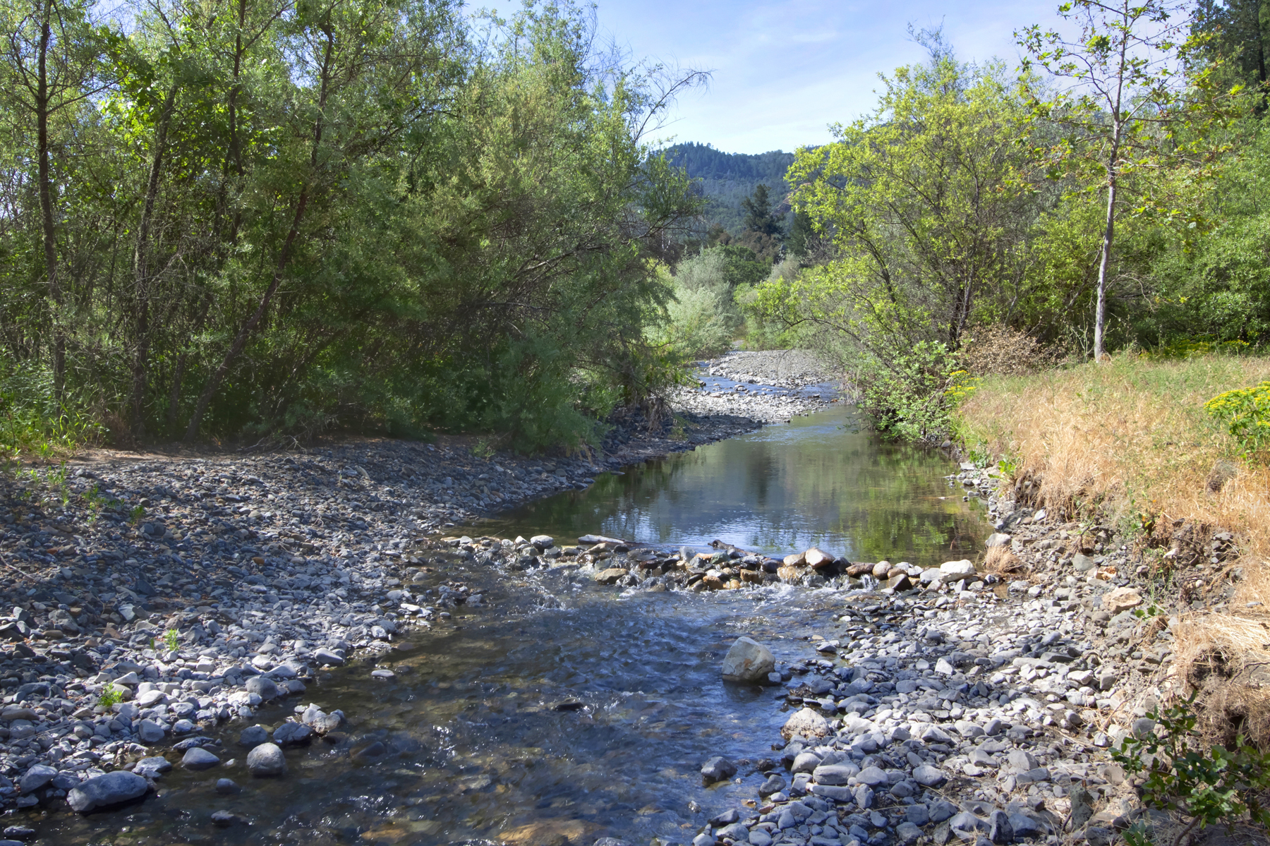 04 _MG_5454adjust- 2705SpringStreet