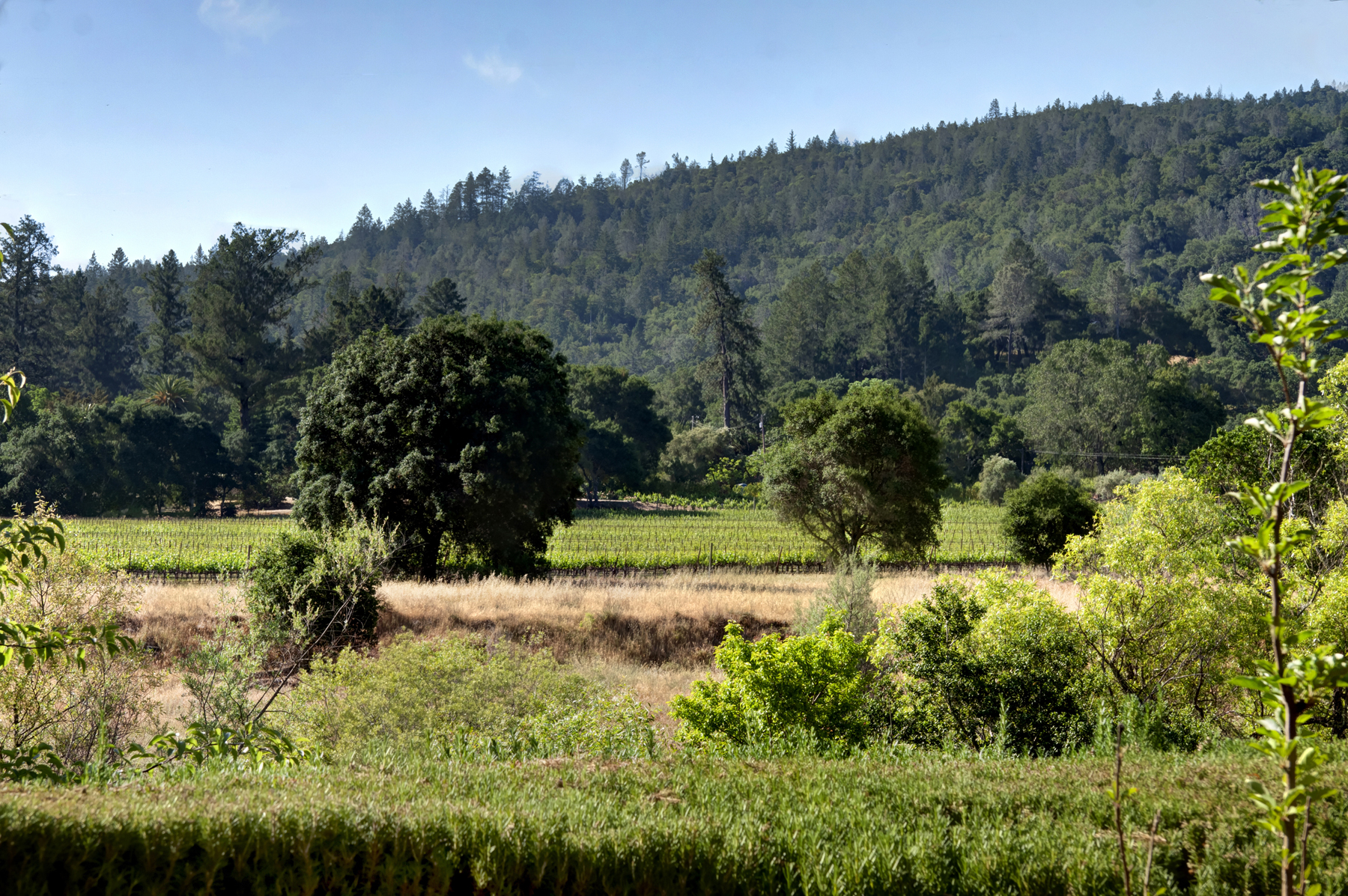 05 _MG_5319adjust.EDITjpg- 2705SpringStreet