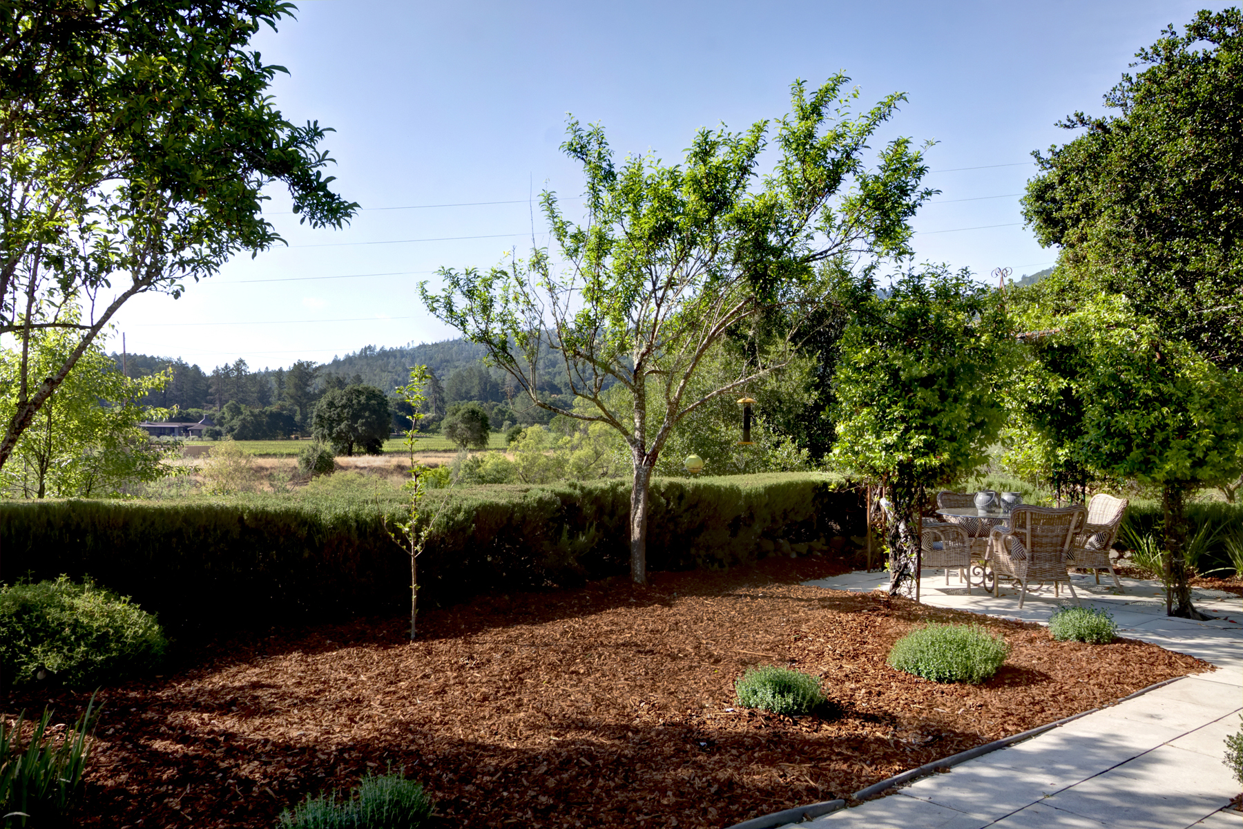 23 _MG_5314adjust- 2705SpringStreet