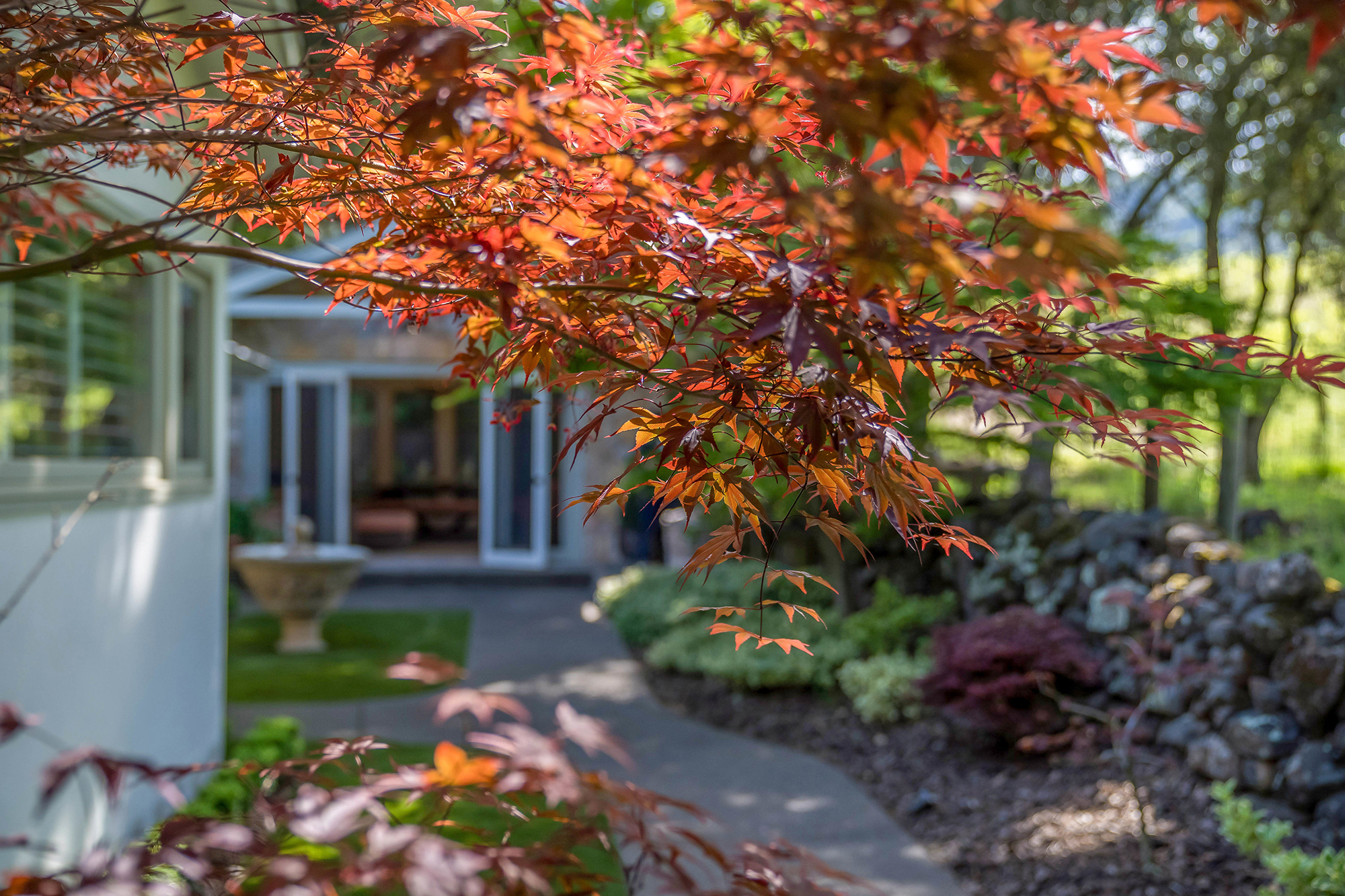 25 _DSC6815 - 2325 Spring Mountain Road