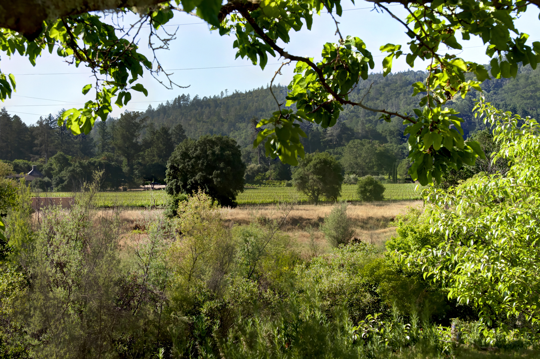 28 _MG_5334adjust- 2705SpringStreet