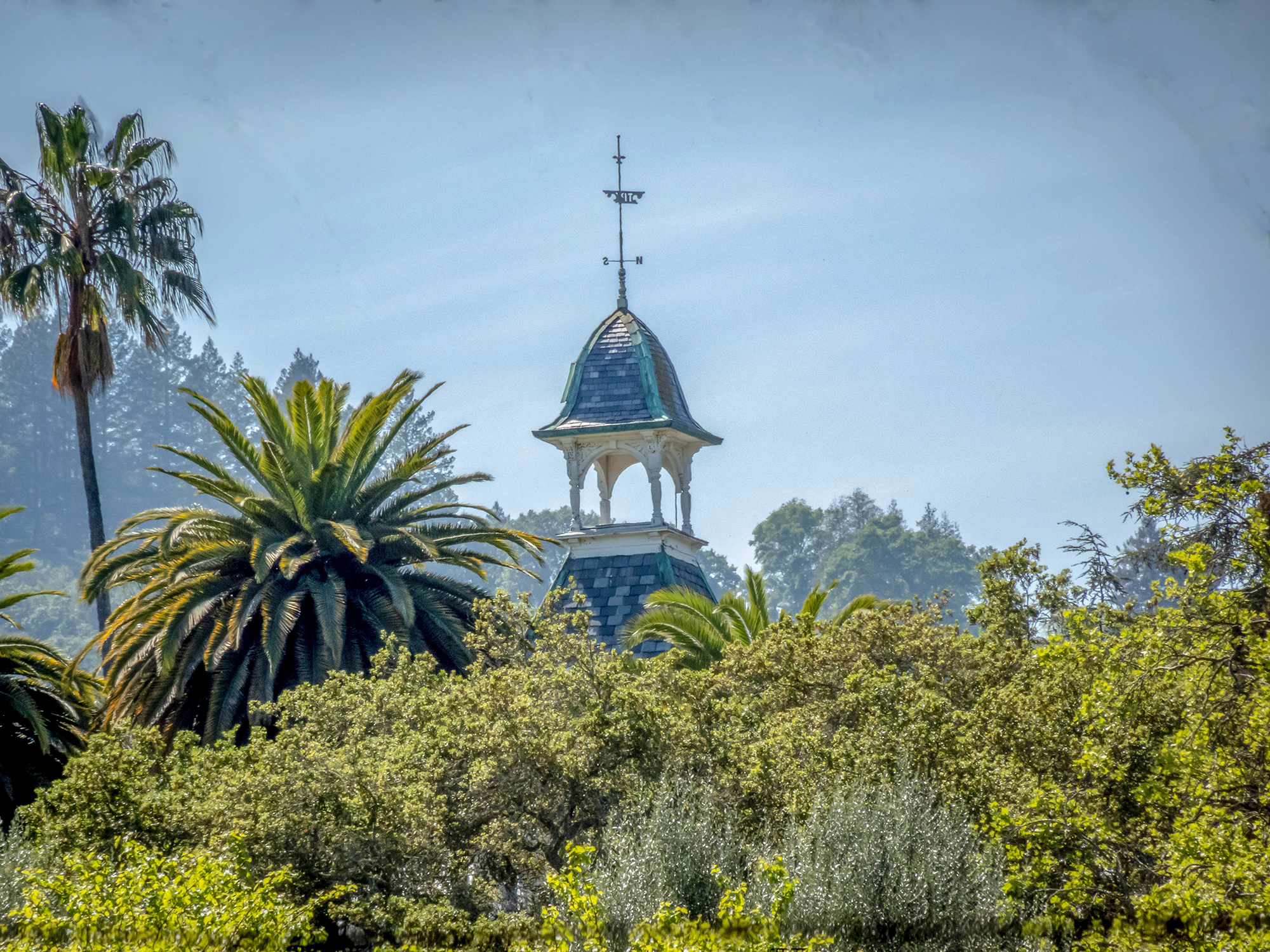 30 _DSC0078EDIT - 2325 Spring Mountain Road