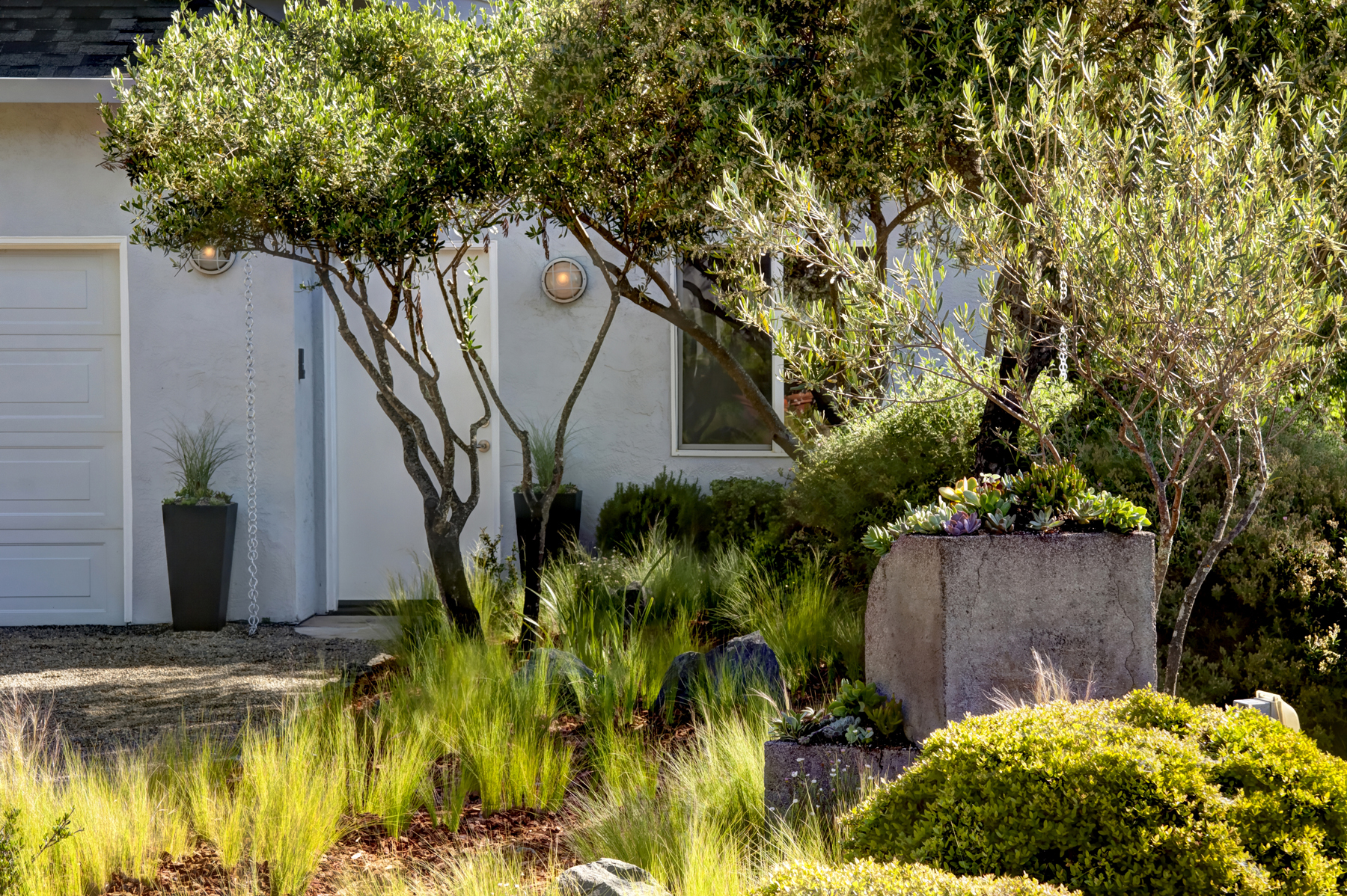 30 _MG_5345adjust- 2705SpringStreet