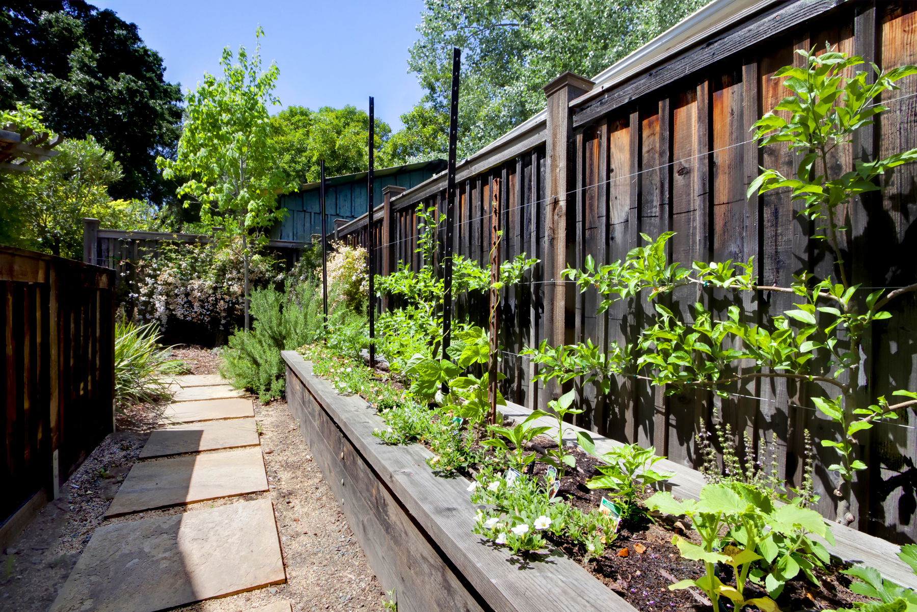 36 - _MG_5030adjustEDIT- 1511 Stockton