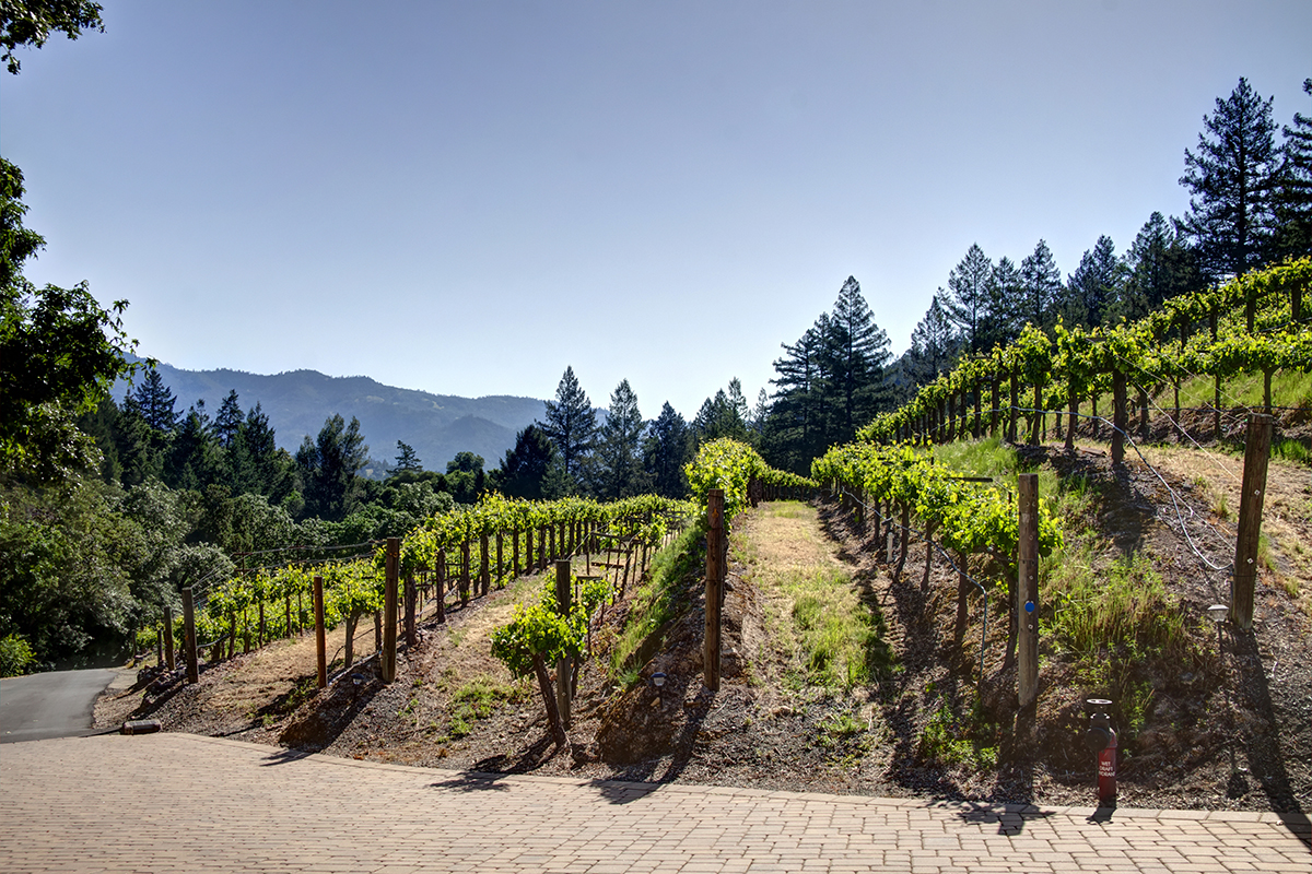 38 - _MG_4543adjust- 1395DiamondMountain