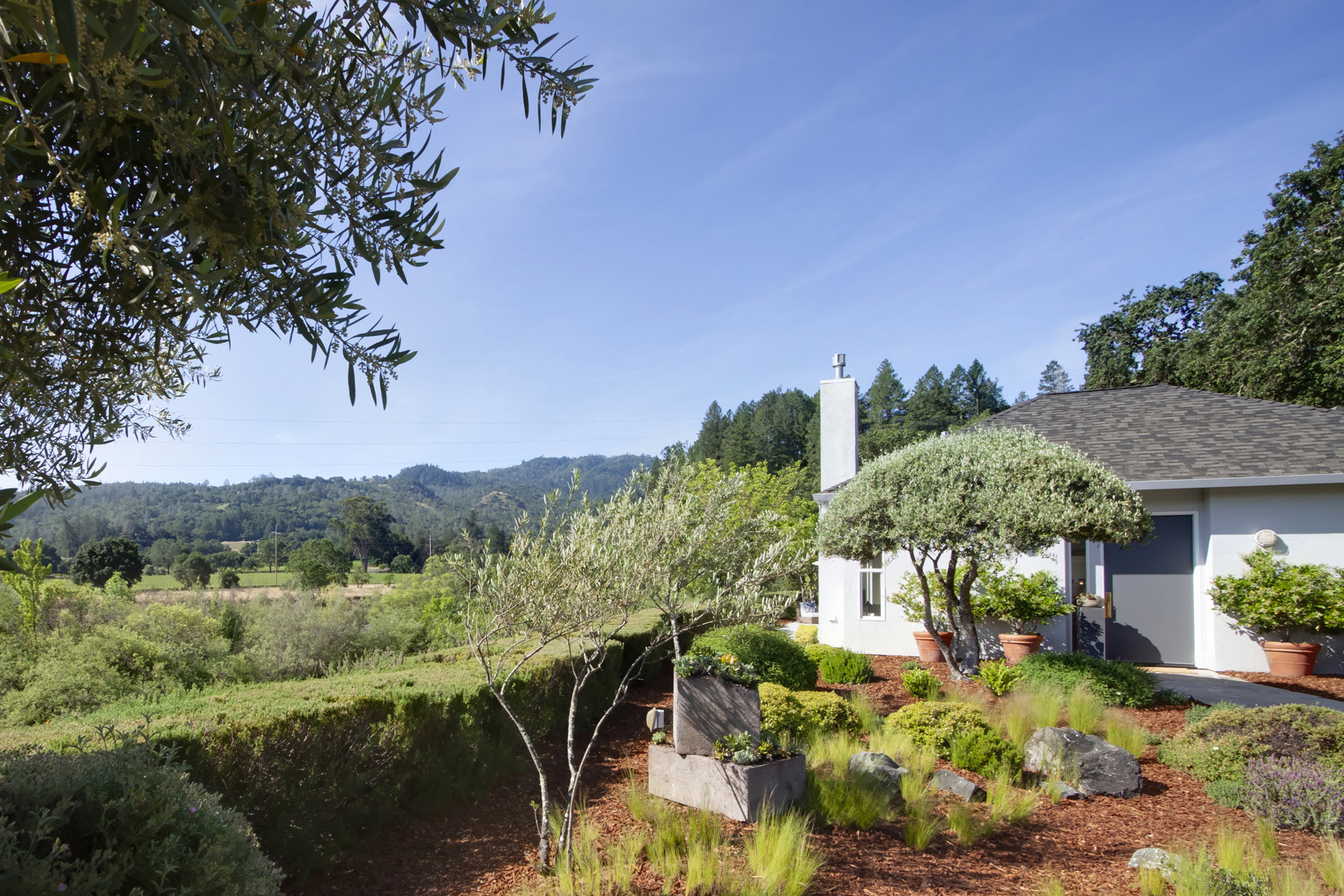 42 _MG_5382adjustCROPPED- 2705SpringStreet