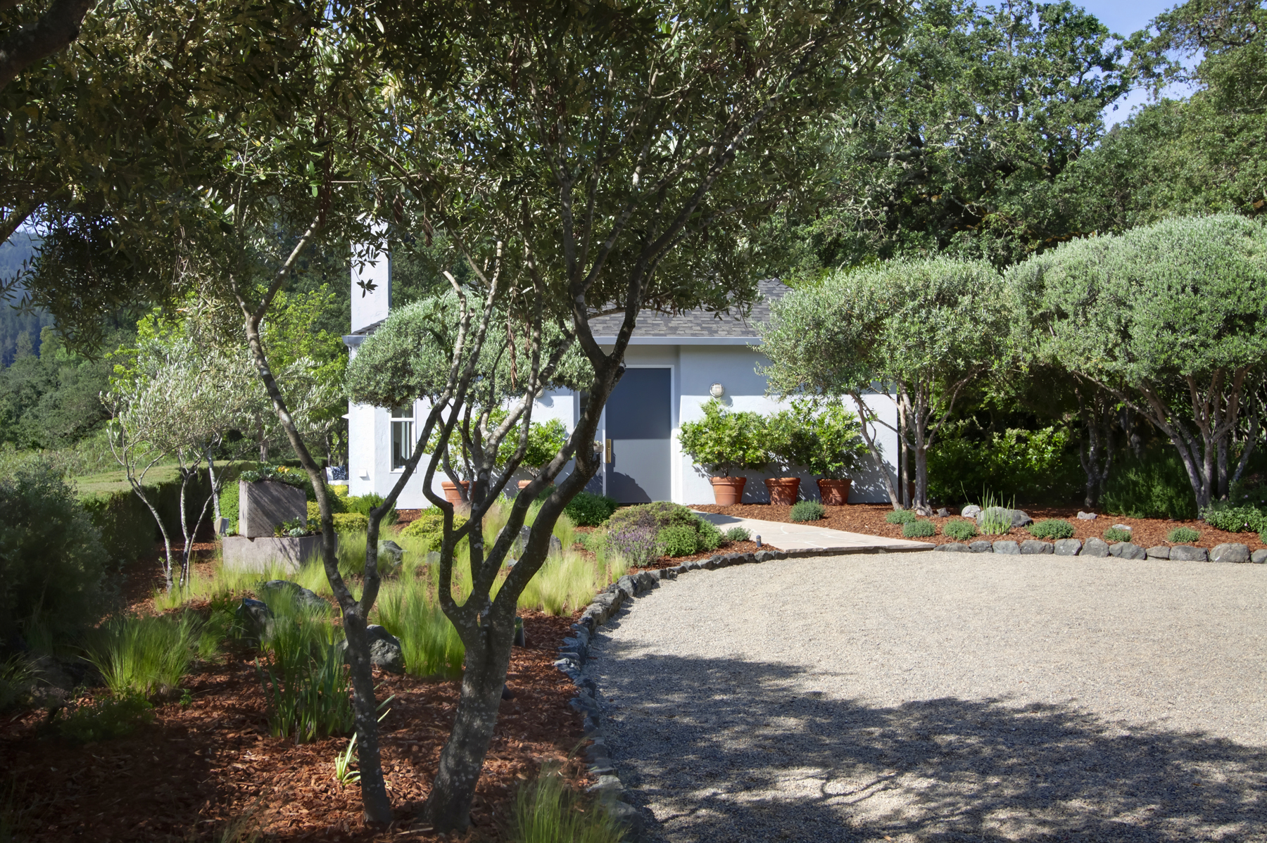 43 _MG_5424adjust- 2705SpringStreet