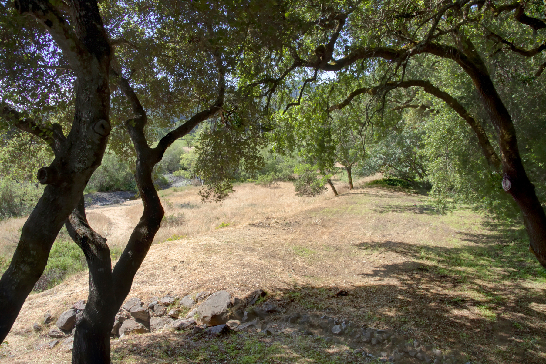 44 _MG_5464adjust- 2705SpringStreet