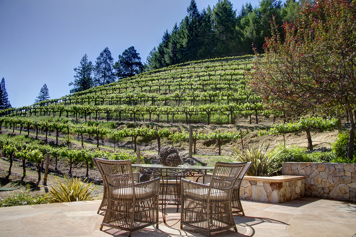 45 - _MG_4598adjust- 1395DiamondMountain