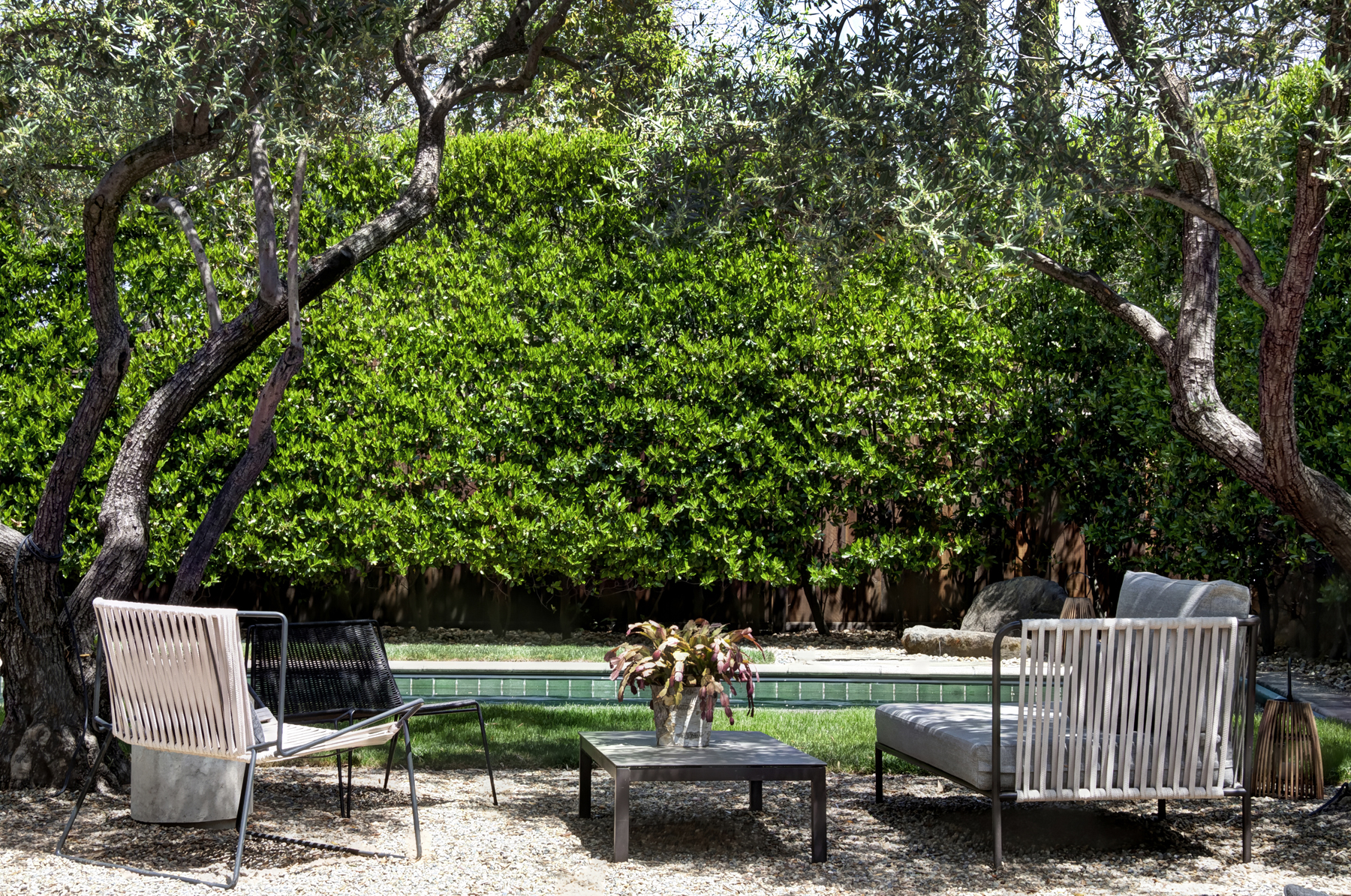 46 E2 _MG_4385adjust1713 ADAMS