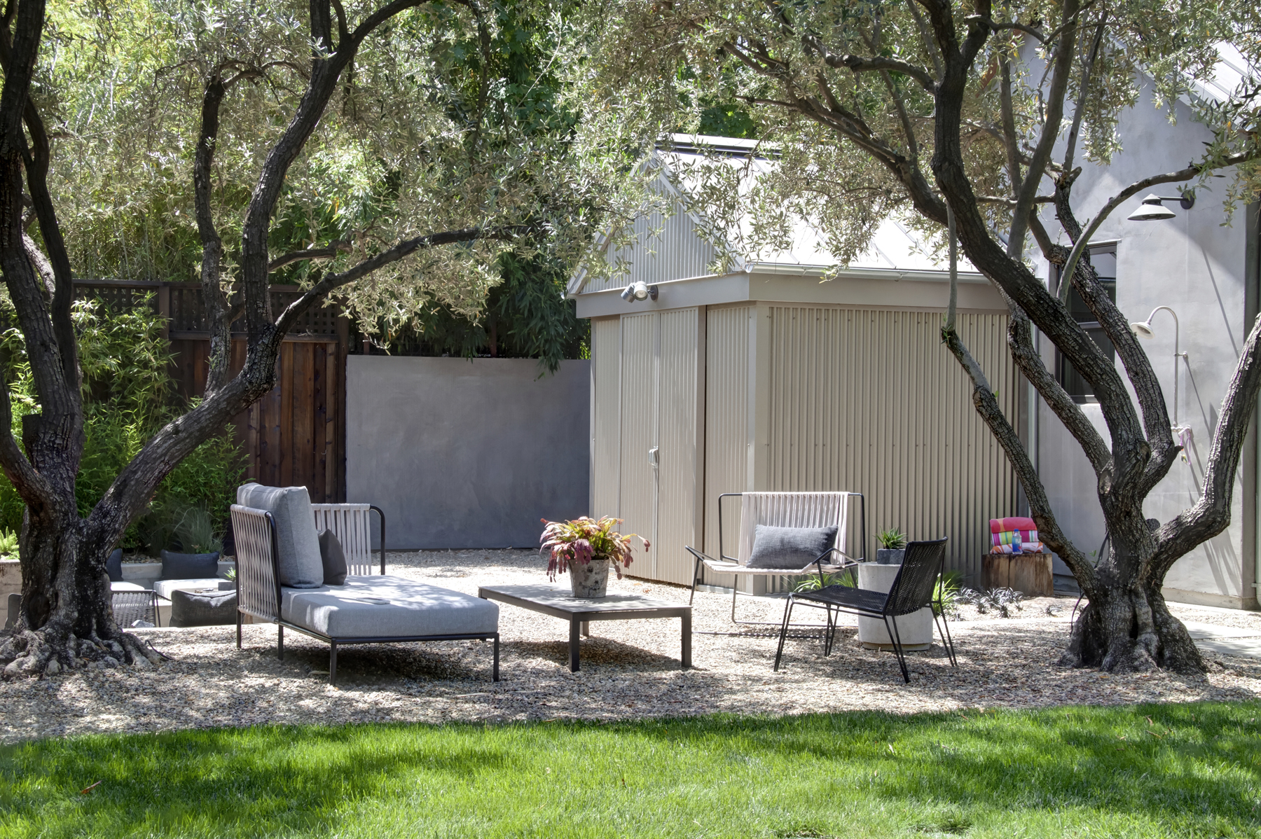 48 E4 _MG_4415adjust1713 ADAMS