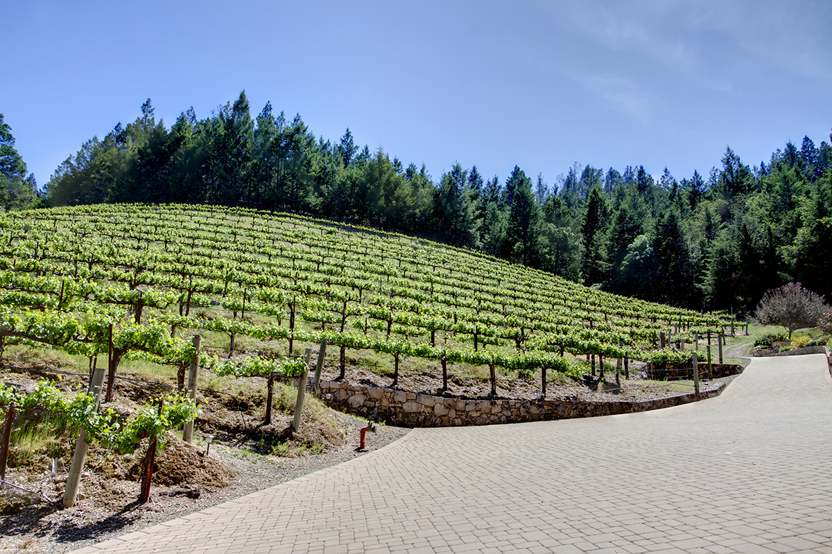 48 - _MG_4853adjust- 1395DiamondMountain