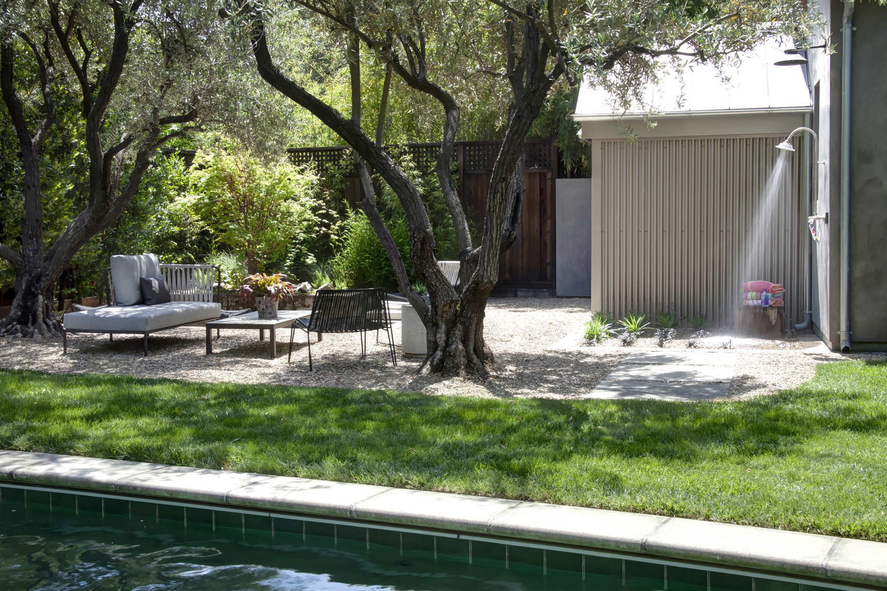 49 E5 _MG_4421adjust1713 ADAMS