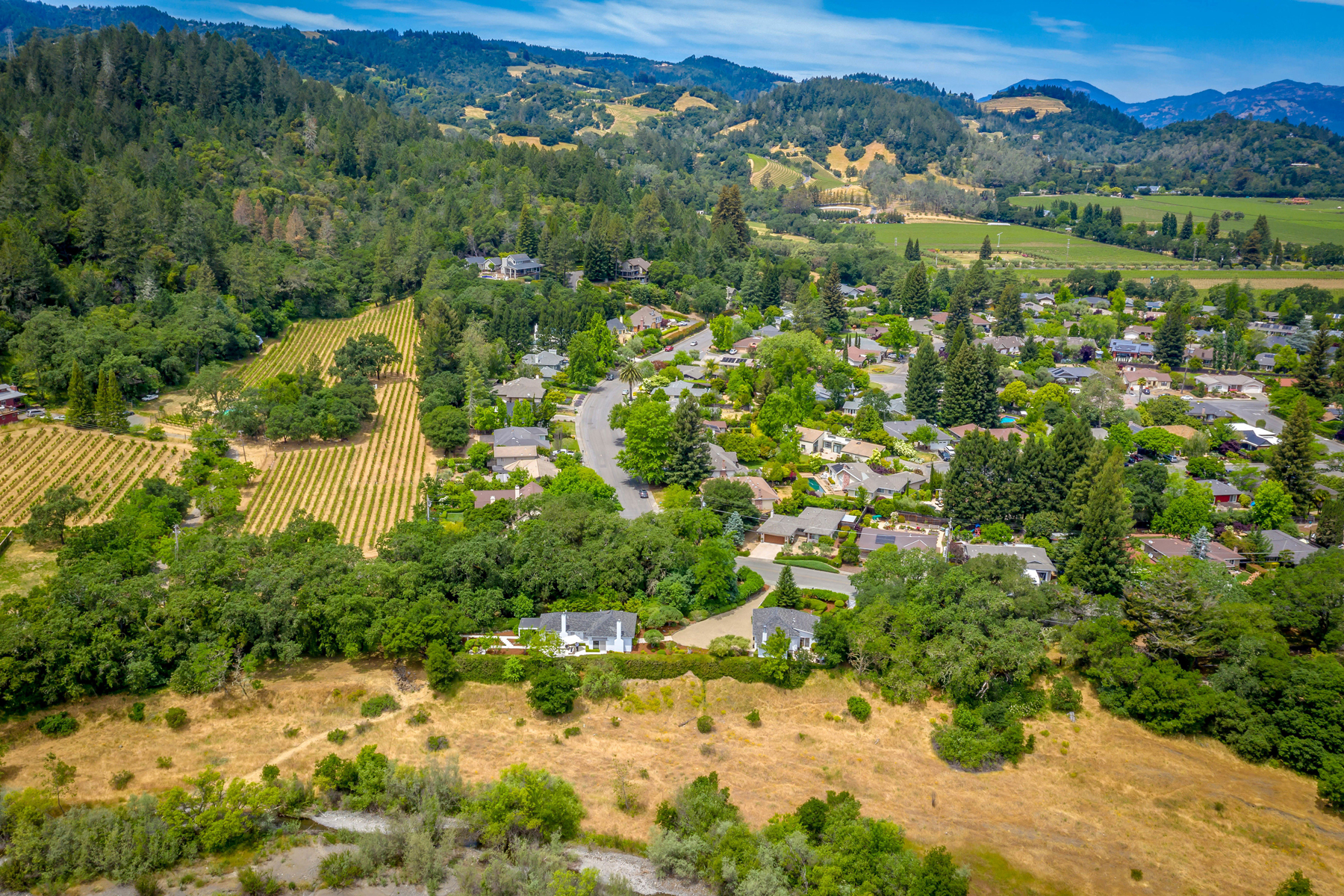 50 DJI_0606EDIT- 2705SpringStreet