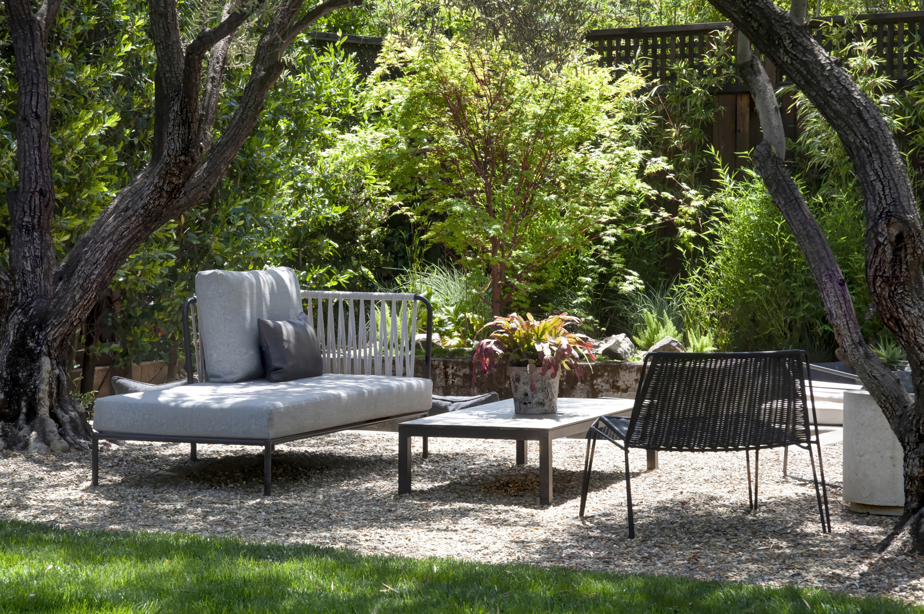 50 E6 _MG_4431adjust1713 ADAMS