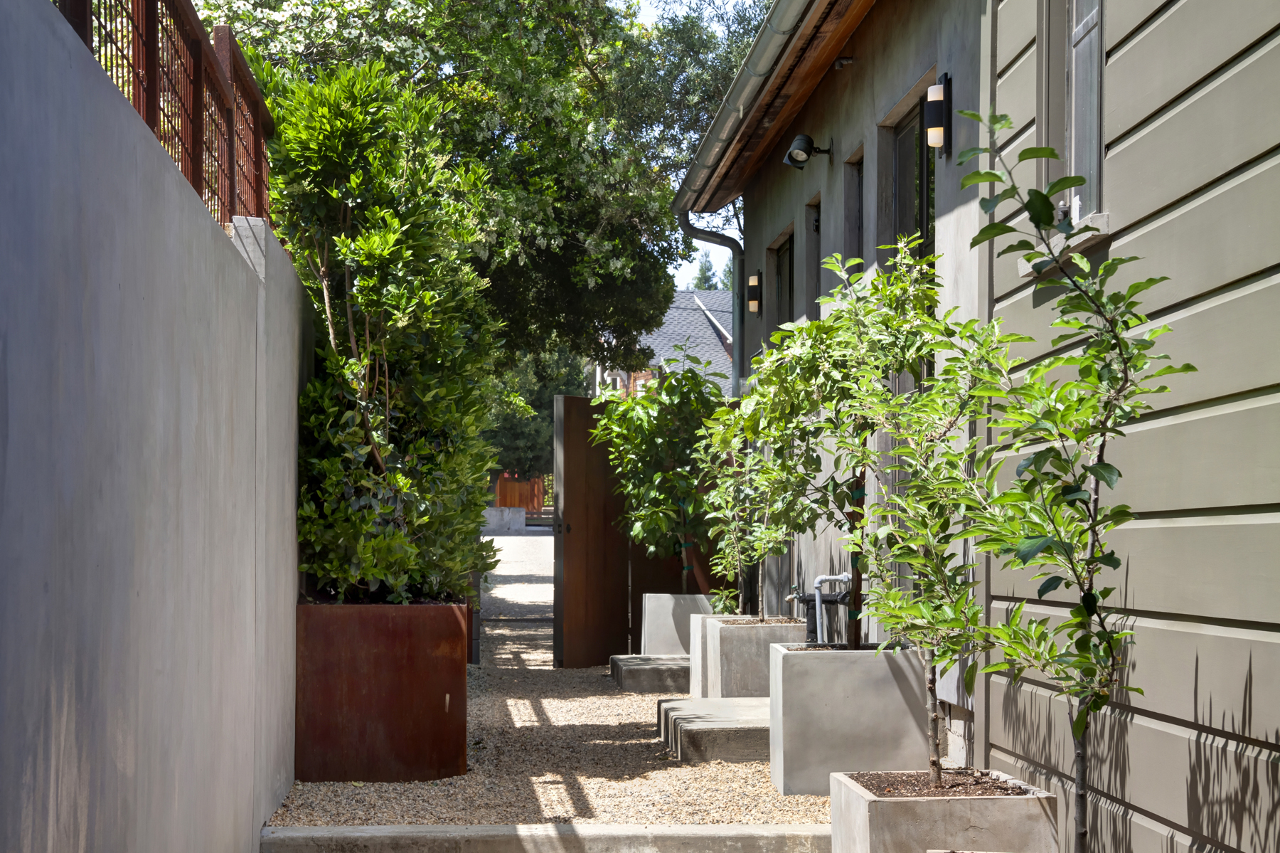 51 E7 MG_4446adjust1713 ADAMS